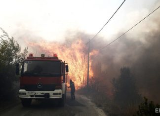 «Ситуация вышла из-под контроля». В Греции начались масштабные лесные пожары, есть погибшие