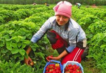 Всемирный банк оценил денежные переводы в Украину в 2018 году в рекордные $14 млрд