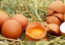 Как изменились цены за пол года: фрукты подорожали, а топливо стало доступнее