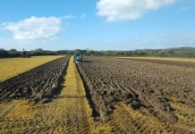 «Если совесть будет – немного заплатят, а если нет – то украдут». За сколько будут покупать украинскую землю