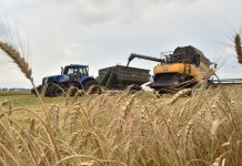 Открывать продажу земли хотят поэтапно: «за» и «против» новой модели рынка