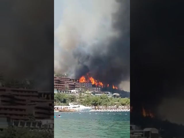Небо – у вогні, попіл – у готелях: що відбувається на популярних турецьких курортах