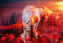 Чорнобильські «трофеї»: мародери винесли із Зони все, що змогли підняти