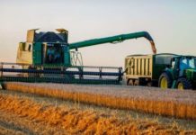 Зернова війна: скільки вкрала Росія і чи варто Україні притримати експорт