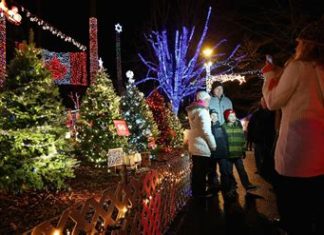 Новий рік у світі: у Румунії економлять на ялинках, а в Канаді – проти штучних