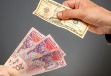 Коли НБУ зможе відмовитись від фіксованого курсу гривні до долара: названі умови