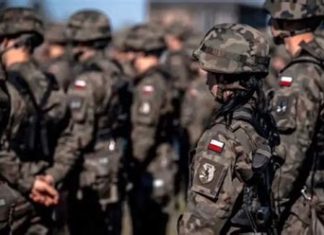 Європа озброюється: Польща створює найбільшу армію, а Фінляндія «наїжачилась» гарматами