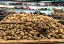 На вагу золота. Чому дорожчає картопля і що буде з цінами у січні-лютому