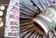 Яким буде курс долара у лютому