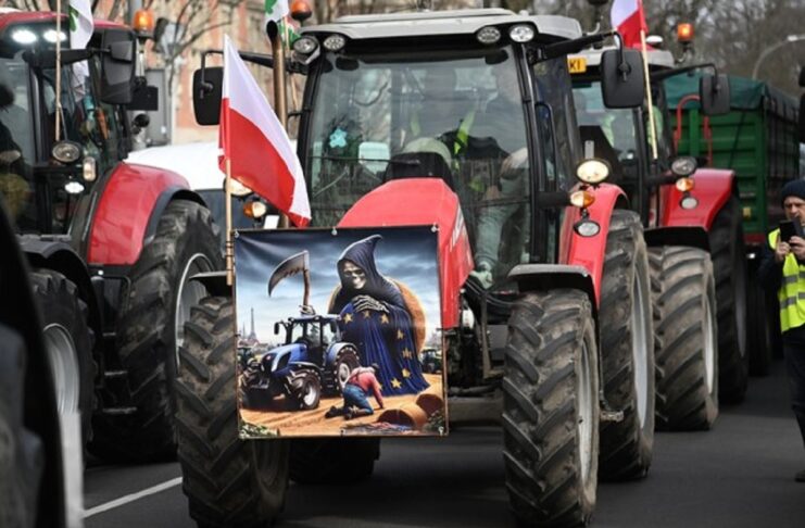 Бунт польських фермерів: коли криваве російське зерно можна купувати, а українське — блокувати