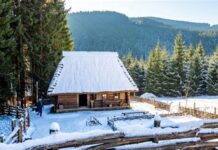 Нерухомість у Карпатах: «хатинка з грубкою» за 5000 доларів та палаци в асортименті