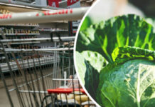 Борщовий набір: де сьогодні дешевше купити найдорожчий овоч