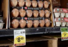 Не просте, а золоте: чи може Україна врятувати США від дефіциту яєць?