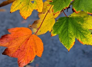 Опалювальний сезон, переведення годинників та нові правила перетину кордонів: що зміниться у жовтні