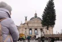 Новорічні ялинки України: в Полтаві — перша за роки війни, у Львові — подарунок від мешканців