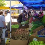 Розбрід і хитання: що буде з цінами на продукти наприкінці літа