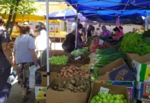 Розбрід і хитання: що буде з цінами на продукти наприкінці літа