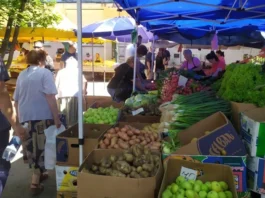 Розбрід і хитання: що буде з цінами на продукти наприкінці літа