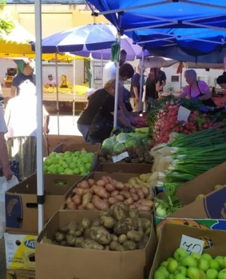 Розбрід і хитання: що буде з цінами на продукти наприкінці літа