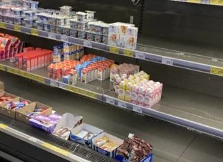 Що буде з цінами на продукти на початку осені: овочі дешевше, хліб та молоко — дорожче